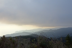 DSC01597